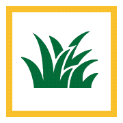 Core Aeration Benefit - Healthier Grass